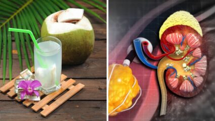 शरीरासाठी गुणकारी असलेले नारळ पाणी ‘या’ लोकांच्या आरोग्यासाठी ठरते घातक, जाणून घ्या आरोग्यावर होणारे परिणाम