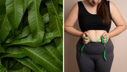 पोट आणि मांड्यांचा आकार बदलला आहे? मग उपाशी पोटी करा ‘या’ गुणकारी पानांचे सेवन, काही दिवसांमध्ये झरझर घटेल वजन