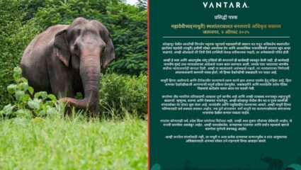 “…ही कार्यवाही स्वतःहून केली नाही, आध्यात्मिक भावनांविषयी खूप आदर; माधुरी हत्तीणीबाबत वनताराकडून अधिकृत पत्रक जारी