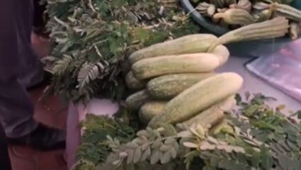 Ambernath : अंबरनाथ तहसील कार्यालयात रंगला रानभाज्यांचा महोत्सव!