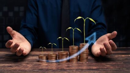 भारतातील मध्यमवर्गाची पसंती Mutual Fund गुंतवणुकीला, बँक ठेवींचा वाटा झाला कमी