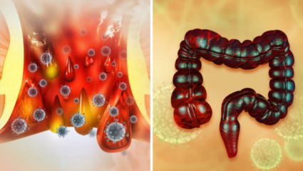 Constipation Home Remedies: बद्धकोष्ठतेमुळे शौच होतेय कडक, ‘या’ भुशाचा करा वापर, पोटातील चिकटलेली घाण त्वरीत येईल बाहेर