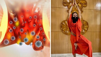 Baba Ramdev ने सांगितले बद्धकोष्ठतेसाठी रामबाण औषधी फळ, रोज खाल्ल्याने टॉयलेटला जाताच साफ होईल पोट