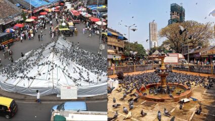 दादरचा कबूतरखाना वादाच्या भोवऱ्यात! अगदी शेकडो वर्षांपूर्वी आहे ते कबूतरांचे खाद्यस्थान