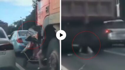 काळजात धडकी भरवणारा क्षण! अचानक भल्या मोठ्या ट्रकखाली आली तरुणी…; पुढे जे घडंल भयानक, Video Viral