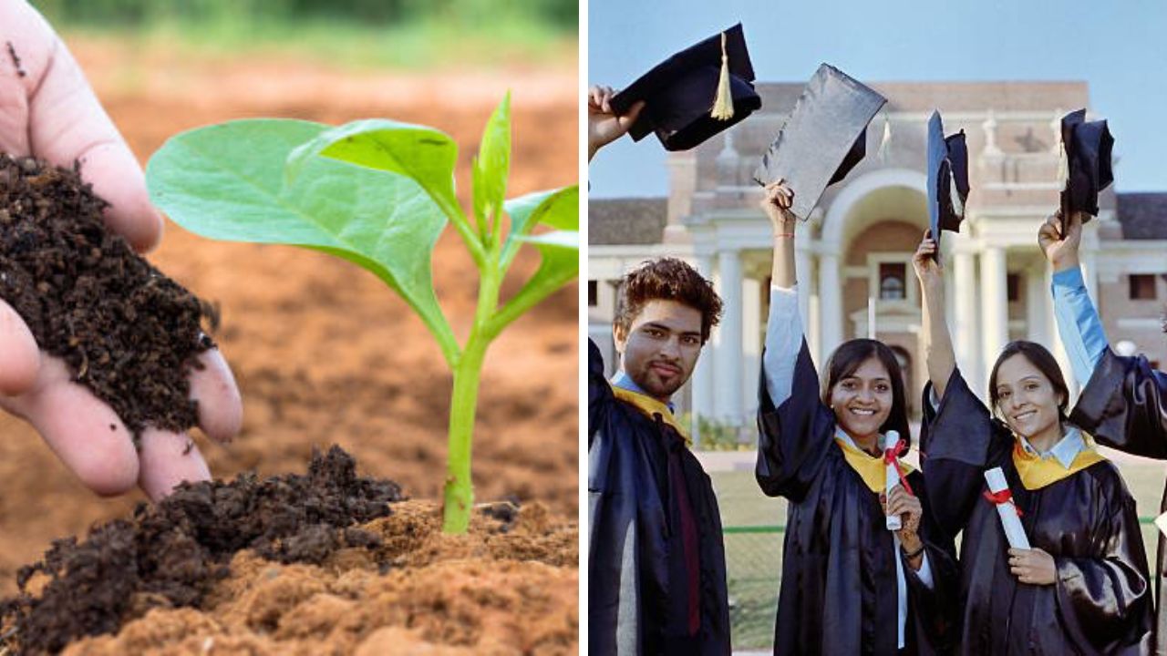 Graduation Degree Got If You Plant 10 Trees Philippines Government Has Made Rule Know The Reason