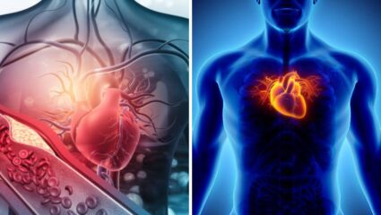 Heart Health: शरीराच्या तुलतेन अधिक ‘म्हातारे’ होतंय हृदय, पुरुषांना अधिक धोका; अभ्यासात भयानक खुलासा