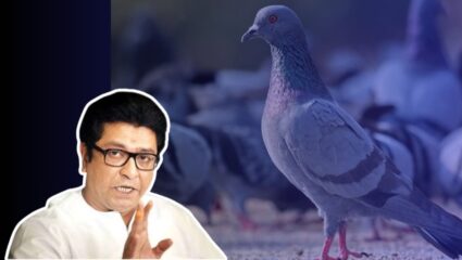 Raj Thackeary on Kabutar Khana : “कोण जैन लोकं आहेत जे कबुतरांवर बसून फिरायला जातात…; कबूतरखान्यावर राज ठाकरे संतापले
