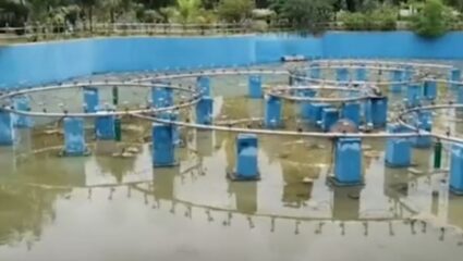 Parbhani : माजी मनपा सदस्य सचिन देशमुख यांची महापालिकेकडे दुरुस्तीची मागणी
