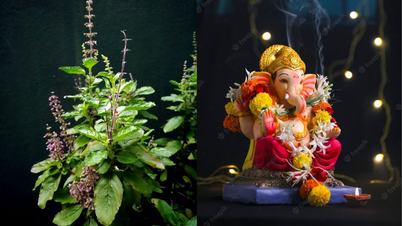 एका आख्यायिकेनुसार, एके दिवशी गणेशजी तपश्चर्या करत असताना देवी तुळस त्यांच्यावर मोहित झाली आणि तिने त्यांच्याशी लग्न करण्याची इच्छा व्यक्त केली 
