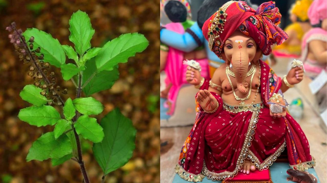 तथापि श्रीगणेशांनी तिचा हा प्रस्ताव नाकारला आणि याचाच राग मनात घेत तुळशीच्या गणेशाला तुझे दोन लग्न होतील असा शाप दिला. यांनतर गणेशानेही तुळशीला तुझं लग्न एका असुराशी होईल असा शाप दिला 

