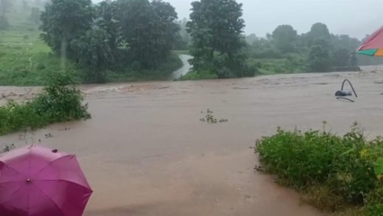 काष्टी–सावर्डे दरम्यान रस्त्यावर झाड कोसळले; ग्रामीण वाहतुकीचा खोळंबा, स्थानिक लोकवस्ती प्रभावित