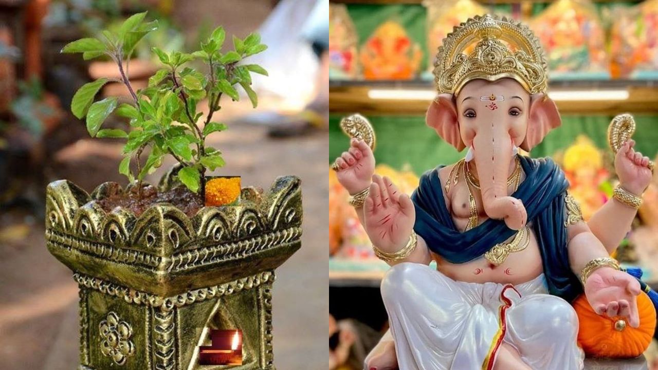 गणपतीला तुळस का अर्पण केली जात नाही? भयंकर शापाशी जोडले गेले आहे कारण...