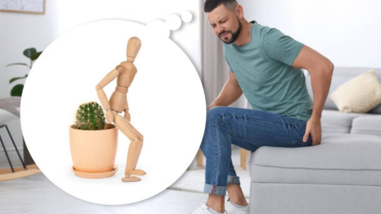 मूळव्याधाच्या त्रासावरील उपाय (फोटो सौजन्य - iStock)