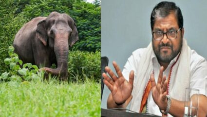 अखेर वादावर पडदा, माधुरी कोल्हापूरात परत येणार! राजू शेट्टींनी अंबानी परिवाराचे मानले आभार