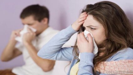 पाऊस ओसरताच आजारांचा फैलाव; ‘या’ तालुक्यात ताप, डेंग्यू, मलेरिया, सर्दी-खोकल्याचे रुग्ण वाढले