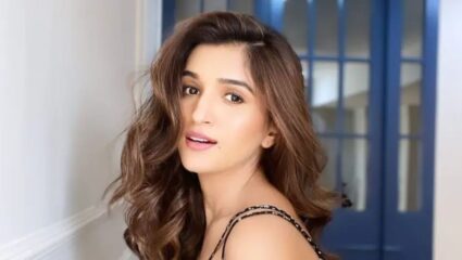 अनुपमाची सुन आता बिग बॉस 19 चं घर गाजवणार? हे स्पर्धक होणार नव्या सिझनमध्ये सामील