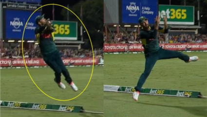 AUS vs SA : सुपरमॅन मॅक्सवेल… ऑस्ट्रेलियाच्या खेळाडूंने घेतला अप्रतिम झेल! सोशल मिडीयावर Video Viral