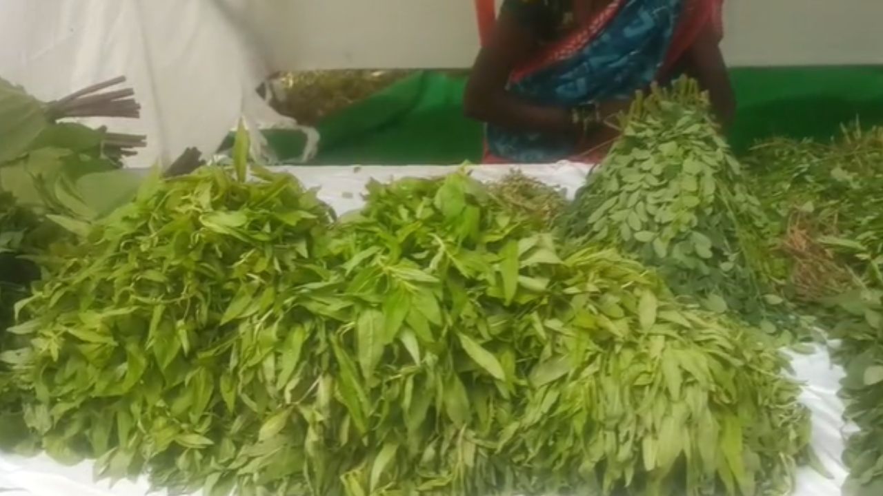 Thane News A Treat For Thane Residents Rainy Season Wild Vegetable Festival Organized In The City