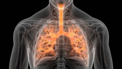 श्वास थांबला की आयुष्य थांबेल! तुमच्या फुप्फुसांना द्या जीवनदान… ‘हे’ पेय Lungs ला चिकटलेली सर्व घाण करेल दूर
