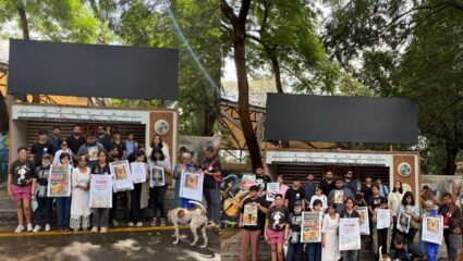 Thane News : श्वानांच्या हक्कासाठी एकवटले ठाणेकर; उपवन तलावाजवळ श्वानप्रेमींचं आंदोलन