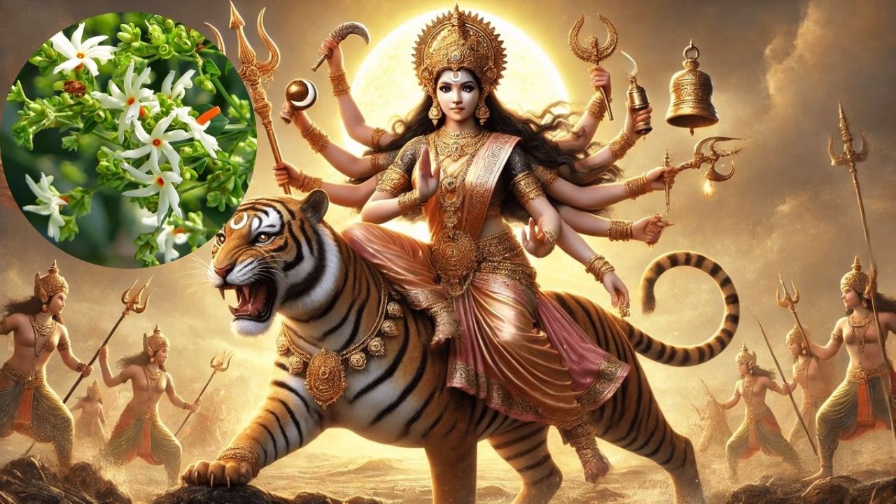 फोटो सौजन्य- pinterest