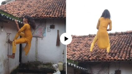 दीदीपुढे तर स्पायडरमॅनही फिका! कॅमेरा ऑन केला छतावर चढली अन्….; पुढं जे घडलं पाहून खळखळून हसाल, Video Viral