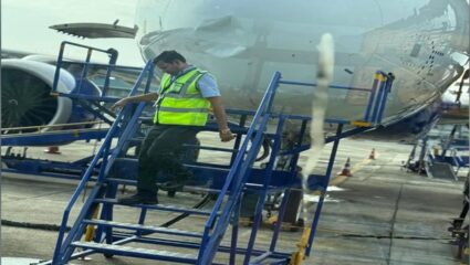 २७२ प्रवासी थोडक्यात बचावले! IndiGo च्या विमानाला पक्षी धडकला, पायलटने घेतला मोठा निर्णय