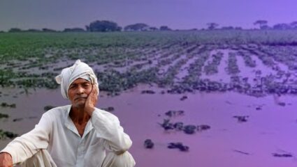 शेतकऱ्यांचे पीक अन् मेहनत गेली वाहून…! सरकारने पूरग्रस्तांची तातडीने मदत करावी हीच अपेक्षा