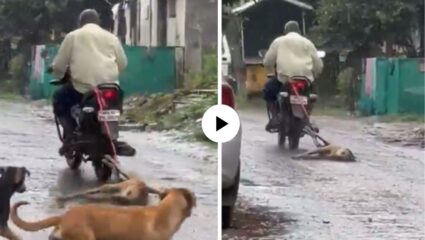 निर्दयी कृत्य! कुत्रा भूंकल्याने दुचाकीमागे बाधलं अन् गावभर…, अमानुष Video Viral