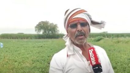 Solapur : …तर शेतकऱ्यांना गांजा लागवडीसाठी परवानगी द्या । नुकसानग्रस्त शेतकऱ्याची मागणी