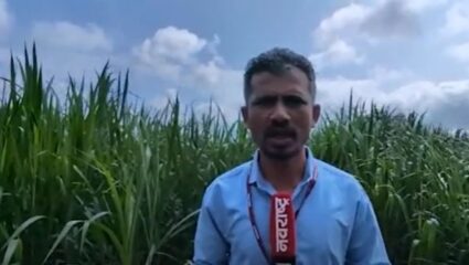 Nashik : नाशिक हादरलं ! वडनेर रोडवर २ वर्षीय चिमुकल्यावर बिबट्याचा हल्ला