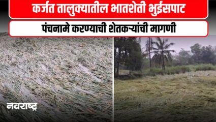 Karjat : पावसामुळे कर्जत तालुक्यातील भातशेती भुईसपाट