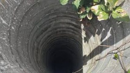 Satara Crime :सातारा हादरलं! गर्भवती महिलेने दोन चिमुकल्या मुलींसह विहिरीत मारली उडाली, एकीला वाचवण्यात यश