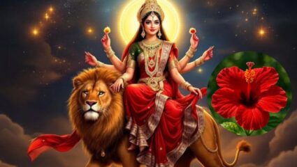 Navratri 2025: नवरात्रीमध्ये जास्वंदाच्या फुलांचे करा ‘हे’ उपाय, संपत्ती आणि समृद्धीची कधीही भासणार नाही कमतरता