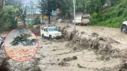 Uttarakhand Cloudburst: निसर्गाचा महाप्रकोप! उत्तरकाशीत ढगफुटी; बघता बघता 6 पेक्षा जास्त…