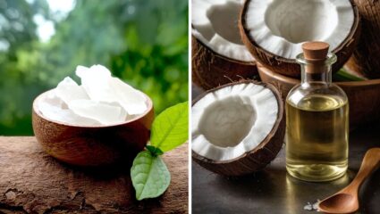 केसांची होईल झपाट्याने वाढ! केसांच्या वाढीसाठी खोबऱ्याच्या तेलात मिक्स करा कापूर, महिनाभरात दिसून येईल फरक