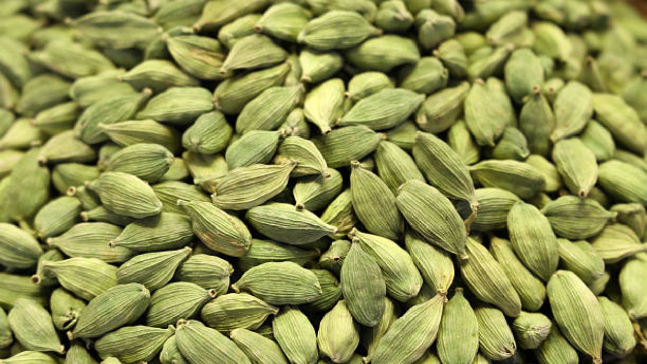 वाढलेले वजन कमी करण्यासाठी उपाशी पोटी वेलचीच्या पाण्याचे सेवन करावे. यामुळे शरीरावर वाढलेले फॅट कमी होते आणि शरीरातील विषारी घटक बाहेर पडून जातात. 
