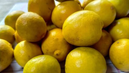‘या’ पदार्थांमध्ये चुकूनही मिक्स करून नका लिंबू, आतड्या आणि पोटामध्ये तयार होईल गंभीर विष