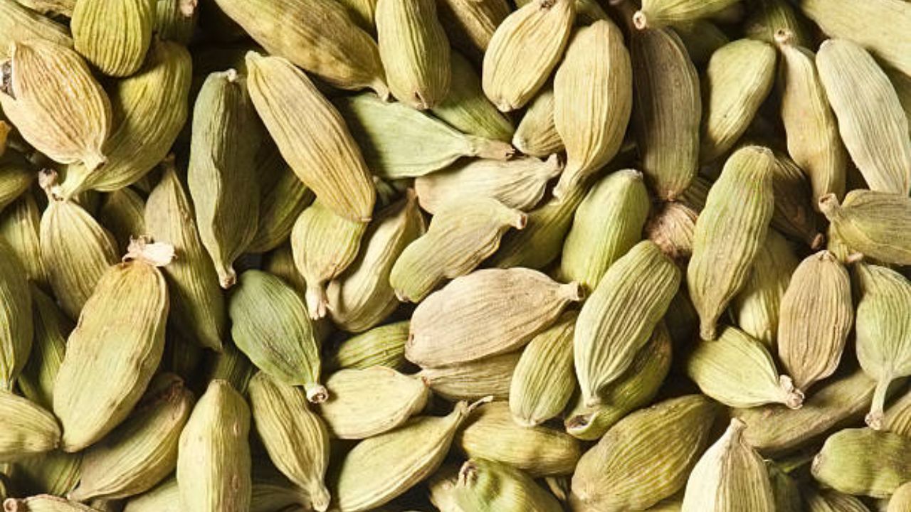 जेवणानंतर नियमित चावून खा 'हा' हिरवा पदार्थ
