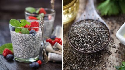 चेहऱ्यावरील चमक वाढवण्यासाठी उपाशी पोटी करा चिया सीड्सच्या पाण्याचे सेवन, त्वचेसह आरोग्याला होतील फायदे