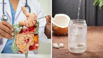 बद्धकोष्ठता आणि फॅटी लिव्हरच्या समस्येने त्रस्त आहात? हावर्ड डॉक्टरांनी सांगितलेल्या ‘या’ पदार्थांचे करा सेवन, आतड्या होतील स्वच्छ