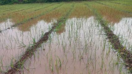 Nashik Rainfall News: अतिवृष्टीने नाशिकमध्ये हाहा:कार; भुजबळ दौरा सोडून नाशिककडे रवाना