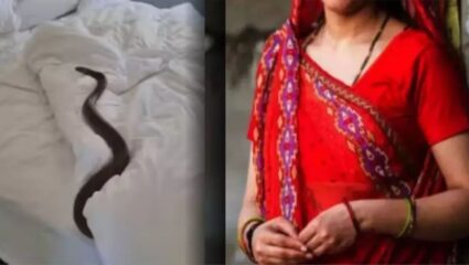 Kanpur Crime: क्रूरतेचा कळस! हुंड्यासाठी विवाहितेला खोलीत कोंडून सासरच्यांनी सोडला साप; पुढे जे झालं ते….