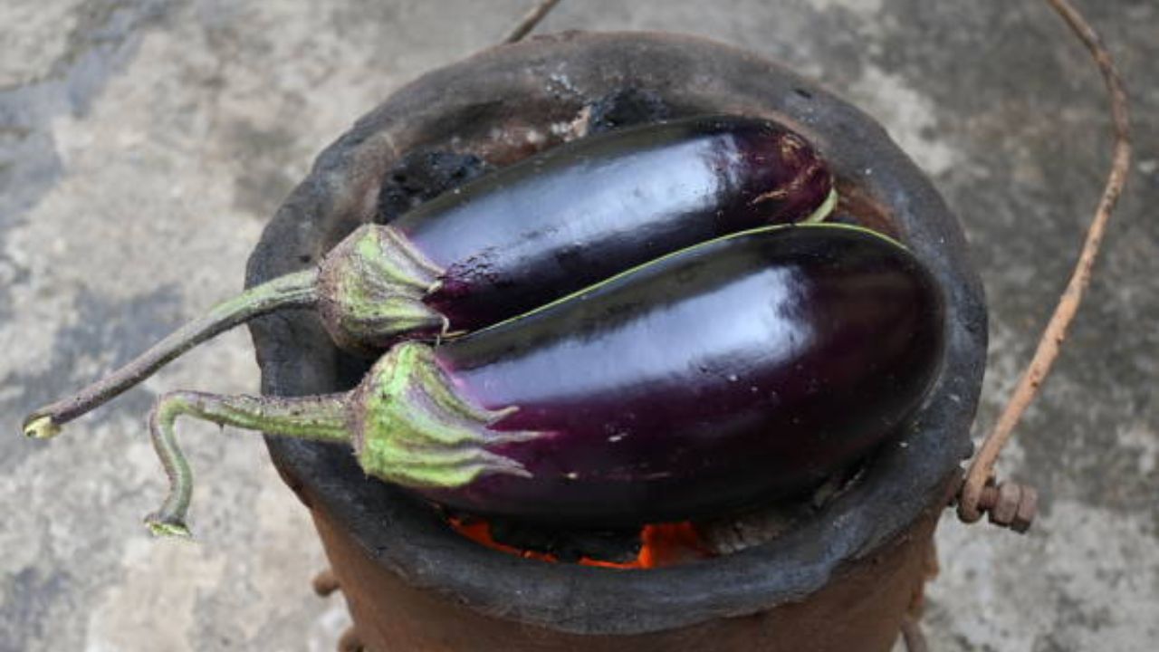 अपचन, गॅस किंवा पित्ताचा त्रास असलेल्या लोकांनी वांग्याचे अजिबात सेवन करू नका. वांगी खाल्यामुळे शरीरात उष्णता वाढते. याशिवाय अपचन झाल्यामुळे सतत उलट्या किंवा मळमळ होते.