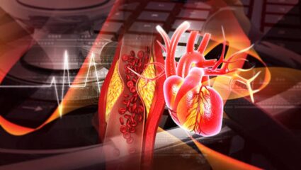 Cholesterol कायमचं वाढत? मग जेवताना फॉलो करा ‘या’ सोप्या टिप्स, कधीच वाढणार नाही कोलेस्ट्रॉल लेव्हल