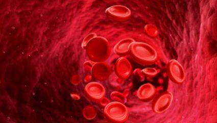 शरीरात निर्माण झालेल्या लोहाच्या कमतरतेमुळे श्वास घेण्यास त्रास होतो? मग आहारात करा ‘या’ पदार्थांचा समावेश