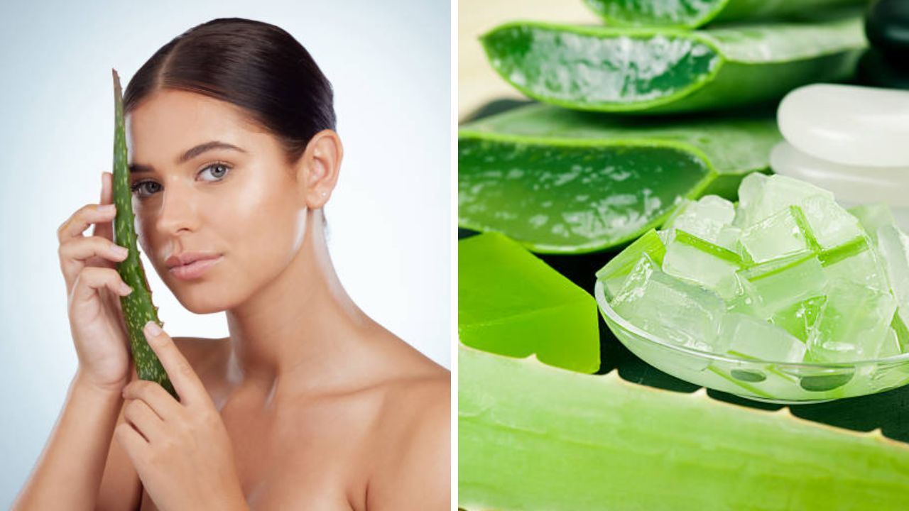 रात्रभर Aloe Vera Gel चेहऱ्यावर लावल्यास त्वचेमध्ये दिसून येतील आश्चर्यकारक बदल