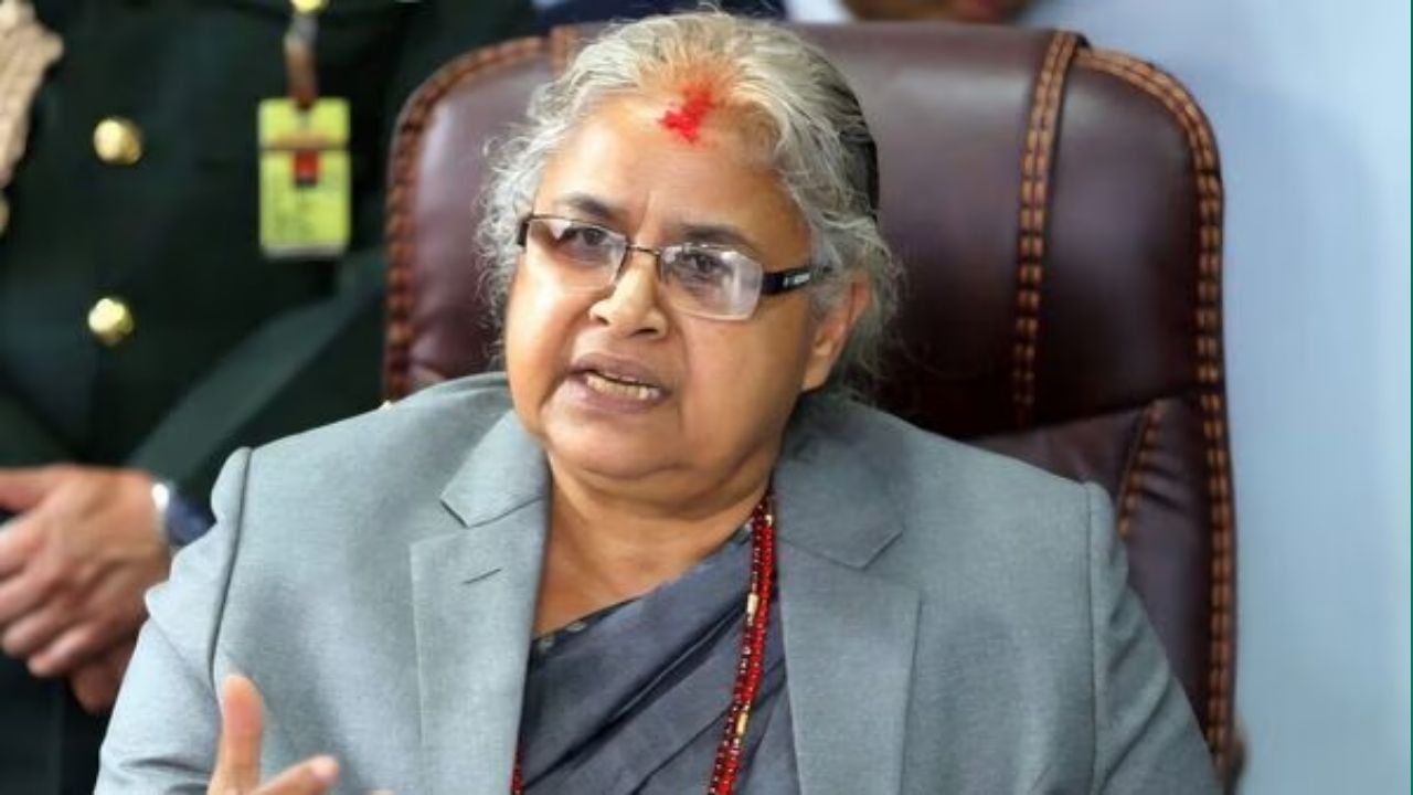 1972 मध्ये, त्यांनी बिराटनगरमधीलच महेंद्र मोरंग कॅम्पसमधून बीएची पदवी घेतली. त्यानंतर, 1975 मध्ये त्यांनी बनारस हिंदू विद्यापीठ, वाराणसी येथून राज्यशास्त्रात पदव्युत्तर पदवी घेतली. 1978 मध्ये त्यांनी पुन्हा त्रिभुवन विद्यापीठातून पदवी प्राप्त केली. 1979 मध्ये त्यांनी विराटनगर येथे वकिली सुरू केली आणि त्यानंतर सहाय्यक शिक्षिका म्हणूनही काम केले.