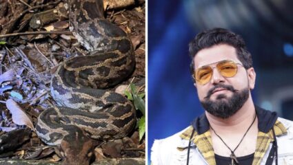 ‘बिबट्या असो वा अजगर आम्हीच त्यांच्या जागेवर…’, अवधूत गुप्तेने अंगावर काटा आणणाऱ्या फोटोंसह सांगितली वस्तुस्थिती